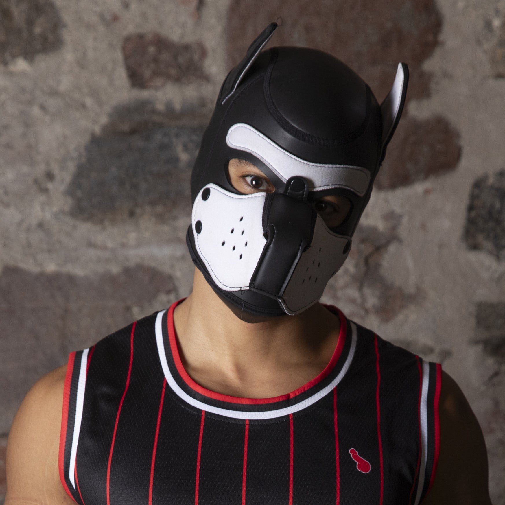 Puppy play hood, mask i neopren – Dickfashion