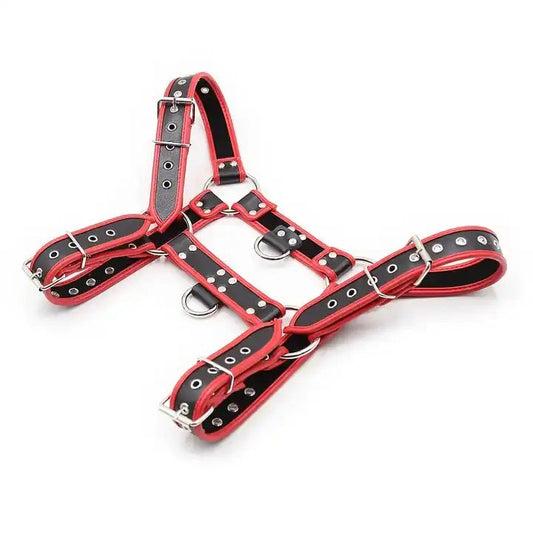 Red/black bulldog harness