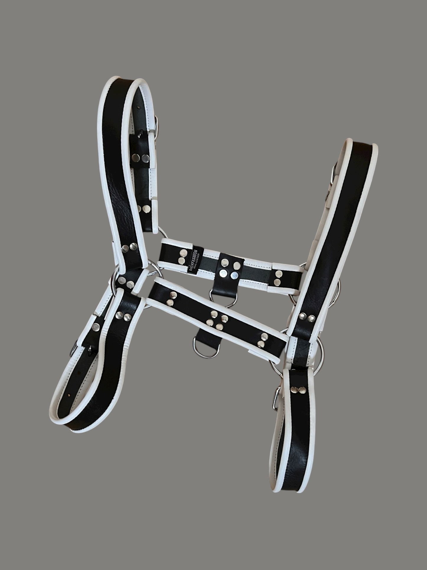 Harness i svart och vitt äkta läder, typ bulldog