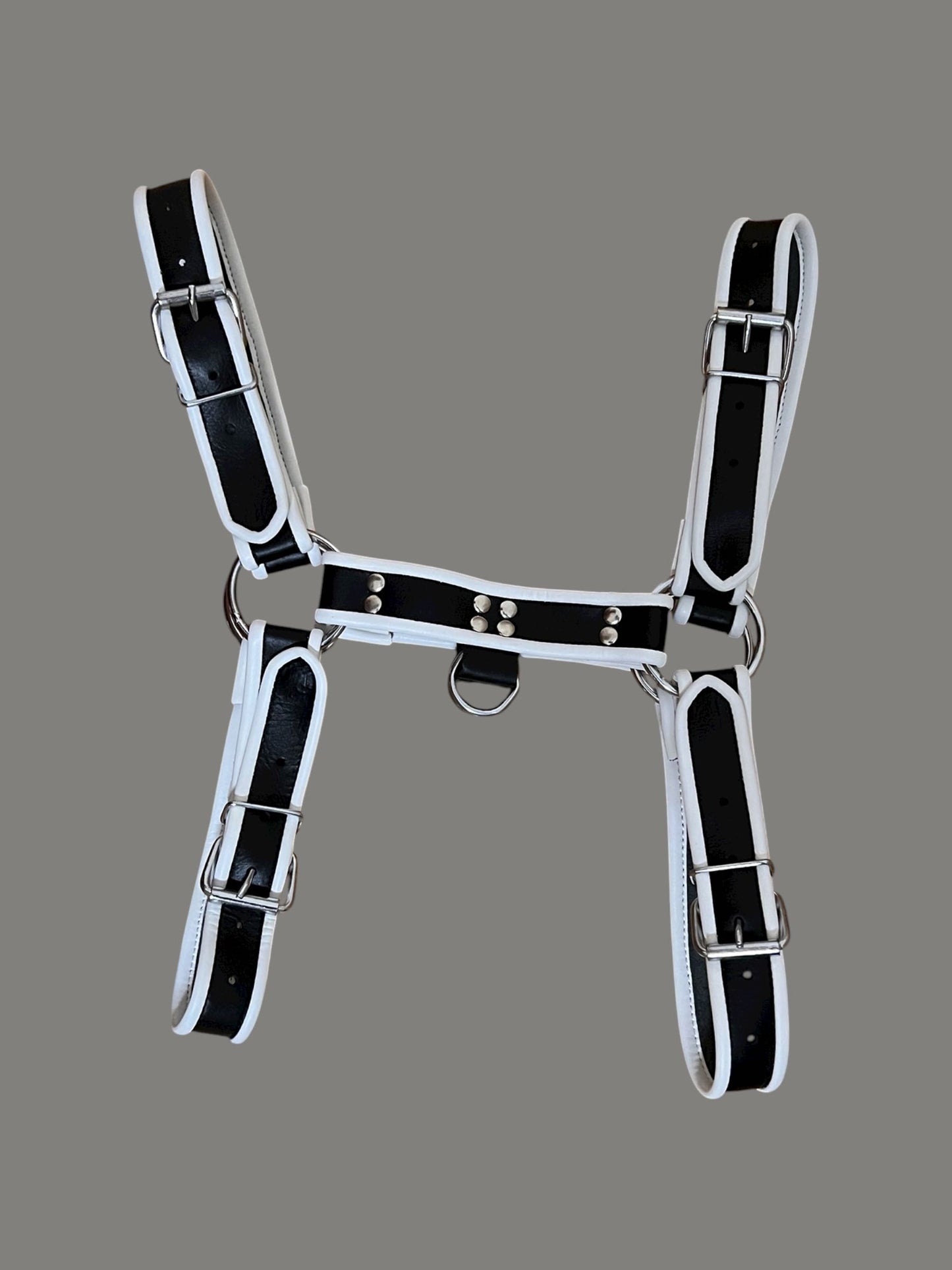 Harness i svart och vitt äkta läder, typ bulldog